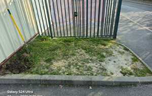 69d01e9b42032_IMG20260323WA0002.jpg
